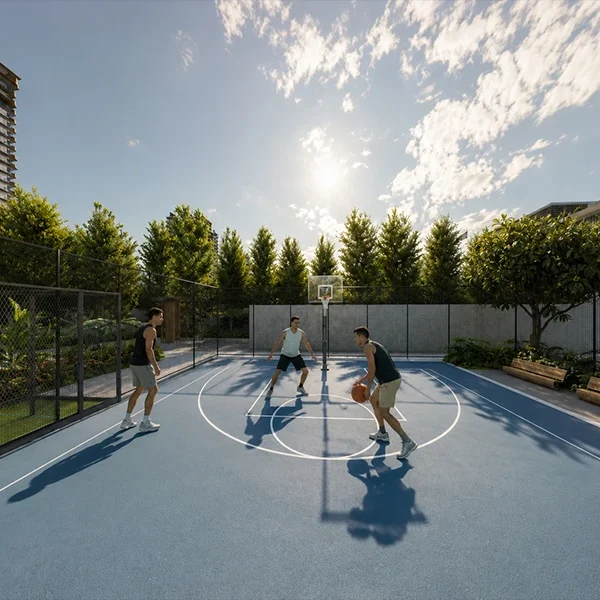 Basketball Court