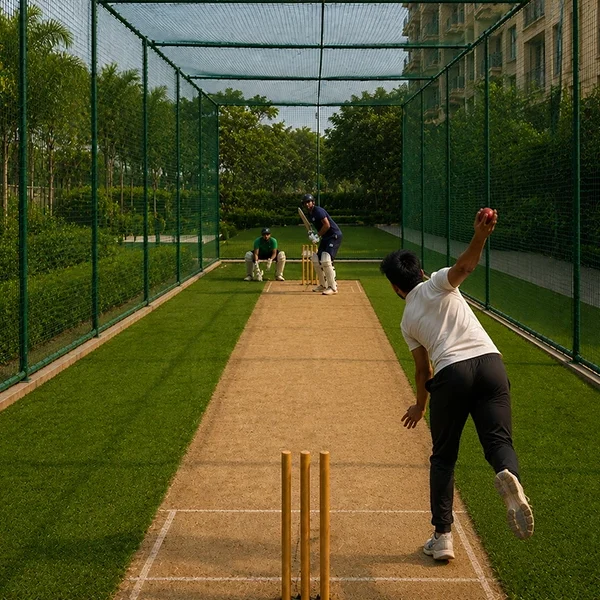 Cricket Pitch